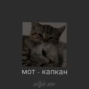 Мот Капкан Speed Up