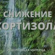 Снижение Кортизола Управление Стрессом Исцеление Нервов Звуком