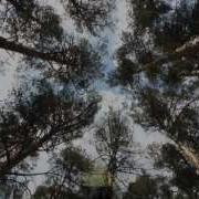 Молдир Ауелбекова Туган Жер