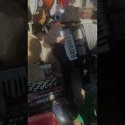 Песни Бо Акардион Точики