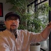盐碱地反贼 社保