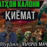 Пурдил 2024