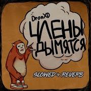 Члены Дымят