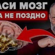 Звони Палес Если Ты