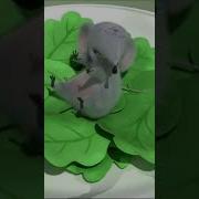 Котёнок Шмяк И Мышка Сырник