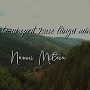 Tu Te Ai Oprit Isuse