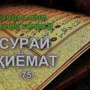 5 Тарҷумаи Сураи Ясин Бо Забони Тоҷикӣ