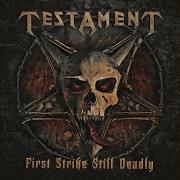 Disciples Of The Watch Testament