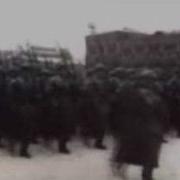Березовые Сны