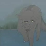 Смерть Серебрянки Коты