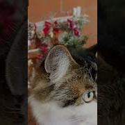 Танюха Мне Скучно