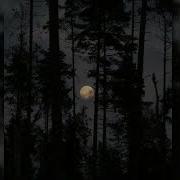 Воспоминания О Былой Любви Speed Up