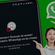 Тез Болоко Тез Болоко