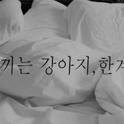 여성향 19Asmr
