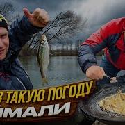 Денис Че Рыбалка