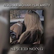 Lin Ansty Speed Up