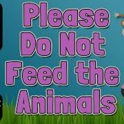 Please Don T Feed The Animal