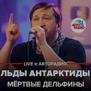 Мертвые Дельфины Льды Антарктиды