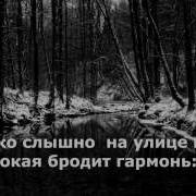 Гармонь Минус