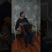 Елецкая Рояльная Гармонь Страдания