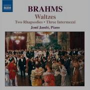 16 Waltzes Op 39 No 9 In D Minor Jenő Jandó