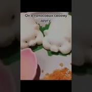 Саня Меня Ебут