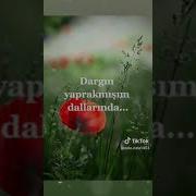 Сура Искендерли
