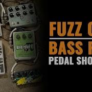 Fuzz Off Bass Fuzz Pedal Shootout