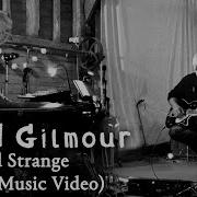 Дэвид Гилмор Luck And Strange