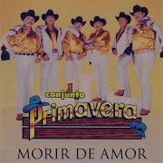 Dime Dime Dime Conjunto Primavera