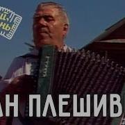Рамашка Белая Под Гармонь