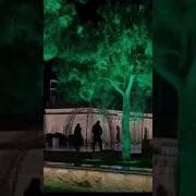 Аюби Кайфуем