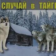 Аудиокнига В Тайге