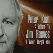 Peter Kent I Won T Forget You