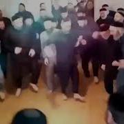 Арабы Танцуют Под Музыку