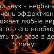 Песня Вирусы Слушать
