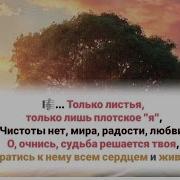 В Винограднике Смоковница Росла Но Увы Не Приносила Она Плода