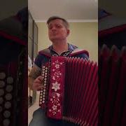 Разцвела Под Окошком Белогривая Вишня