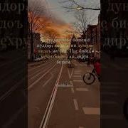 Суруд Барои Шавхар