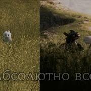 Дневная Фурия И Беззубик Абсолютно Все