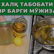 Лавр Япрогинининг Сиз Билмаган Фойдалари