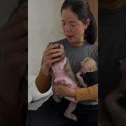 Музыка Из Малыша В