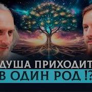 Сила Рода Книга 1 Часть 2