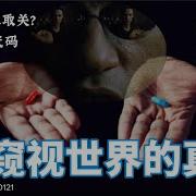 老王来了 虚拟世界