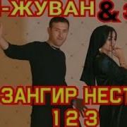 Минуса Зангир Нестм1