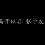 离开以后 张学友
