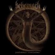 Pandemonic Incantations Behemoth