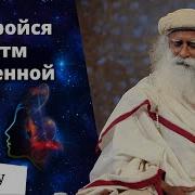 Всё Что Вам Нужно Найти Свой Ритм