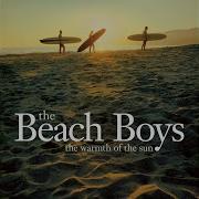 Shut Down Live2001 Digital Remaster The Beach Boys