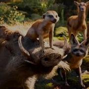 The Lion King 1 The Lion Sleeps Tonight Eu Portuguese